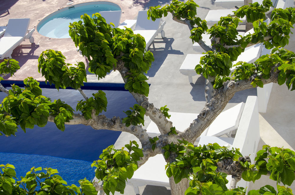 Rk Beach Hotel Kamári Servizi foto
